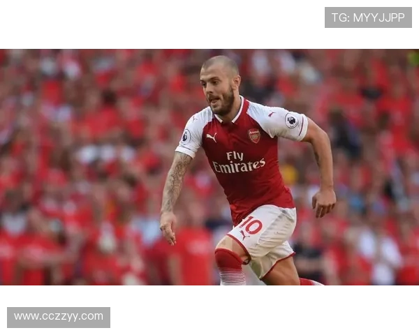 绿军主帅真心欣赏张伯伦将体检 绿军主帅真心欣赏张伯伦将体检