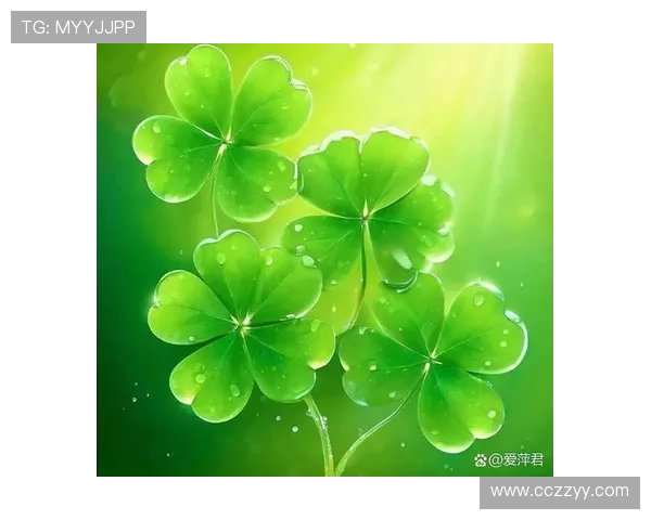 刘少昂头像挂四叶草求好运冲金